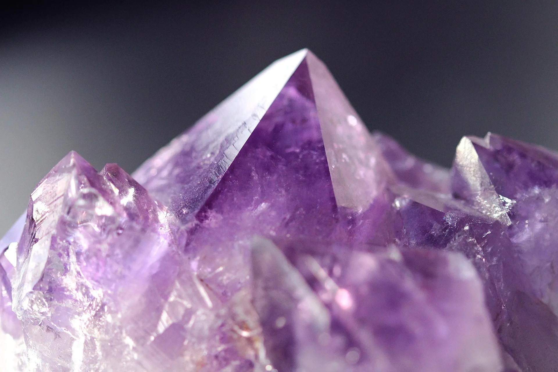 Des cristaux d'améthyste violets en gros plan