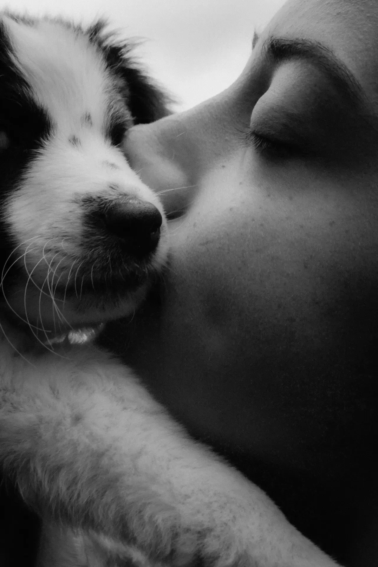 Une femme qui serre un chien dans ses bras, photo en noir et blanc