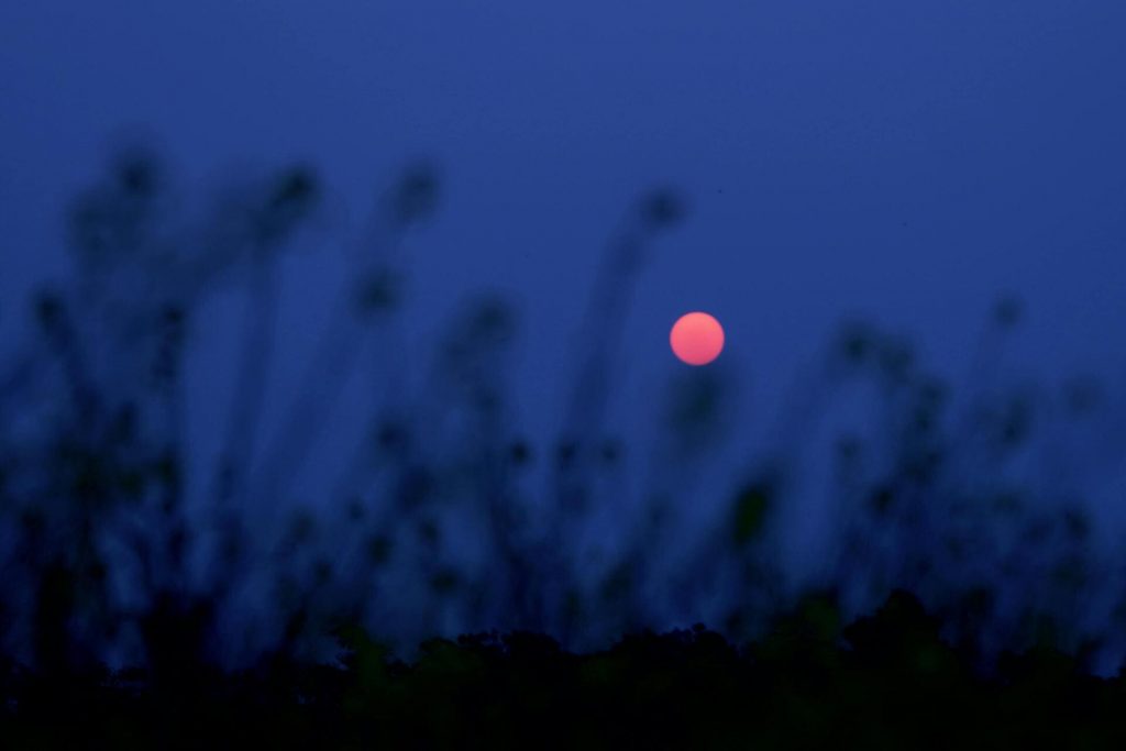 photo de nuit étoilée
