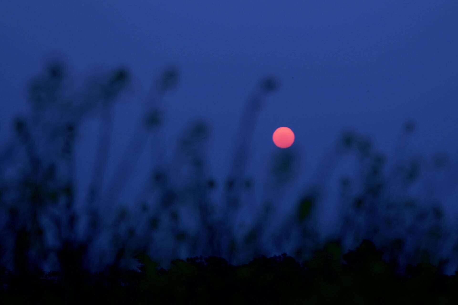photo de nuit étoilée